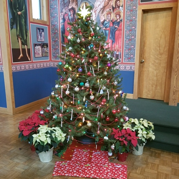 Meet your Posher, Julie - Picture 1 of 1